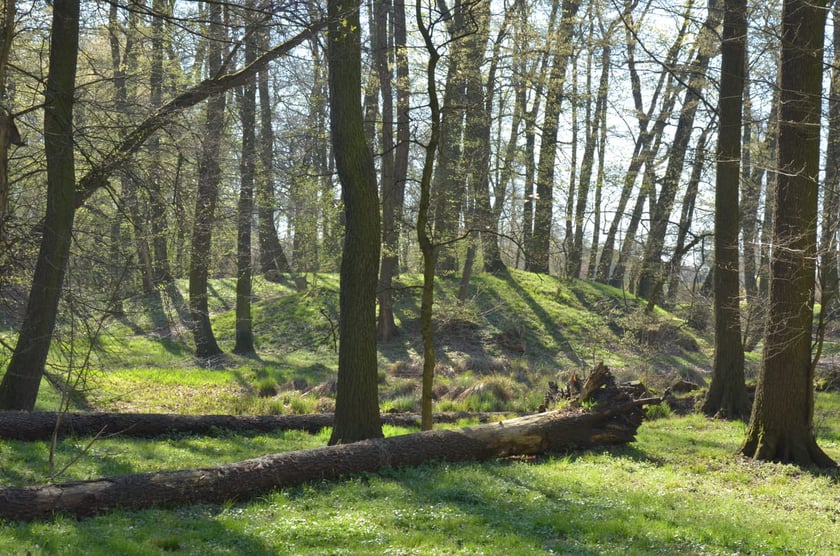 Gr&oacute;dek typu motte Złotniki Małe w parku Złotnickim