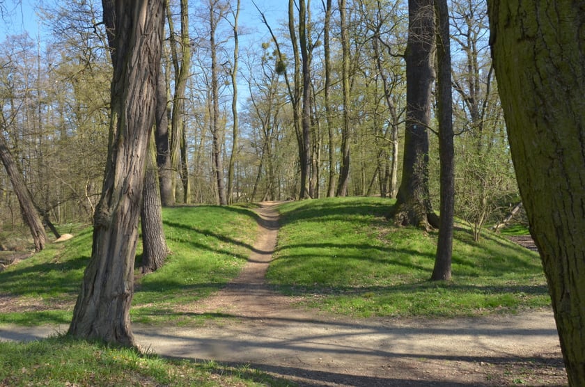 Gr&oacute;dek typu motte Złotniki Małe w parku Złotnickim