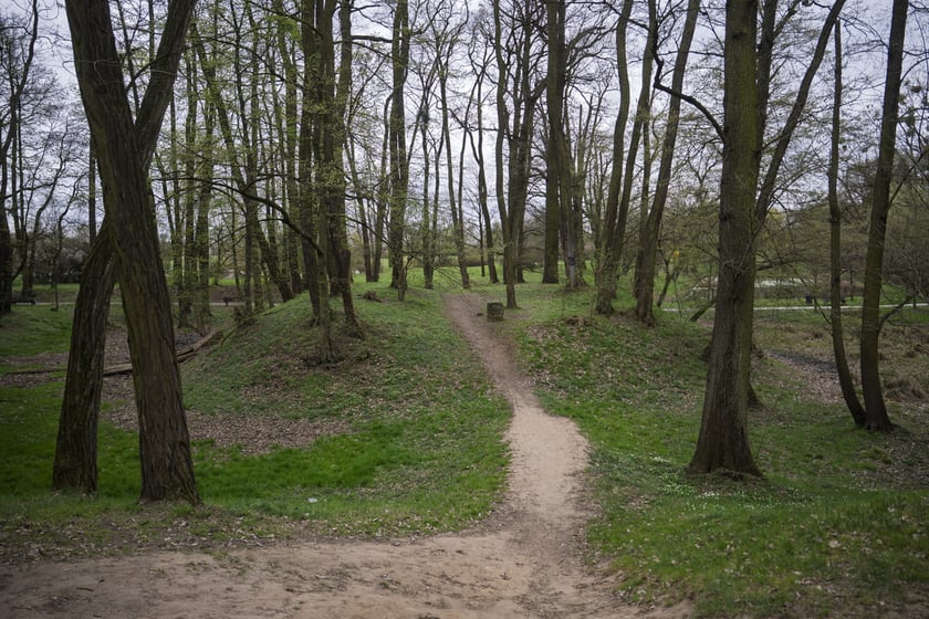 Gr&oacute;dek typu motte Złotniki Małe w parku Złotnickim