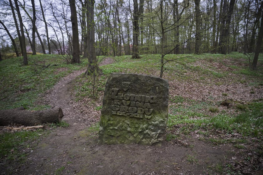 Wczesnośredniowieczne grodzisko w parku Złotnickim