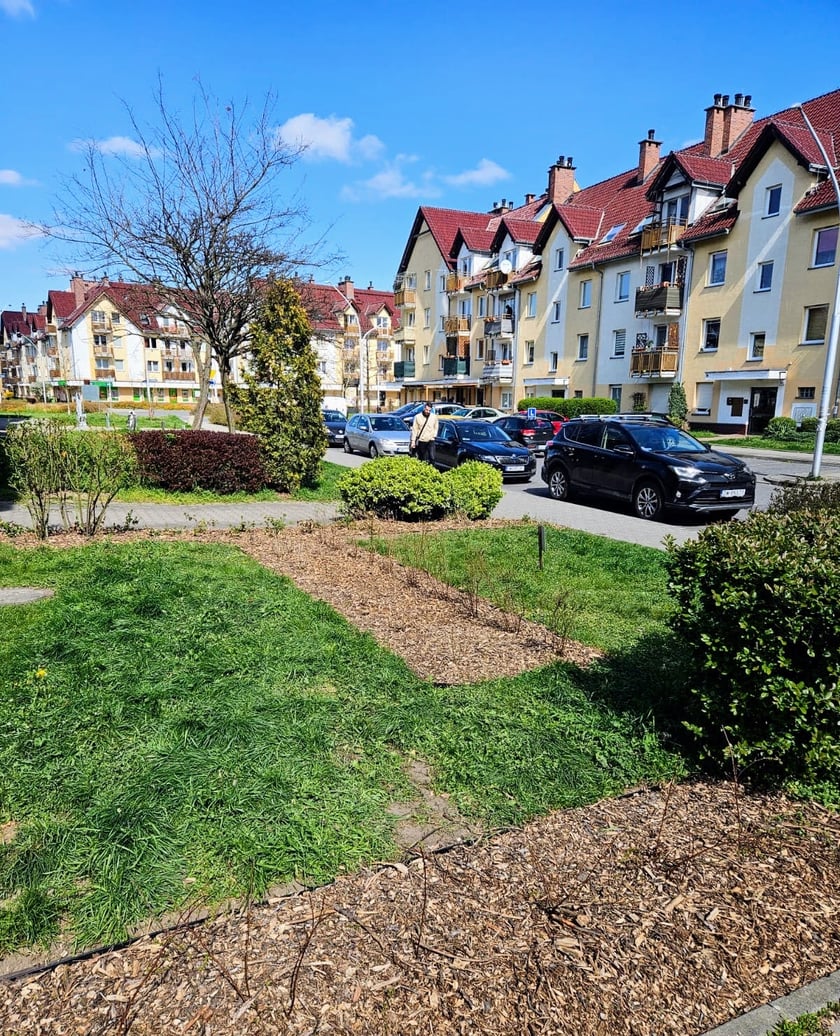 Dodatkowe nasadzenia zieleni, stacje do naprawy rowerów gotowe do użytku na osiedlach TBS Wrocław