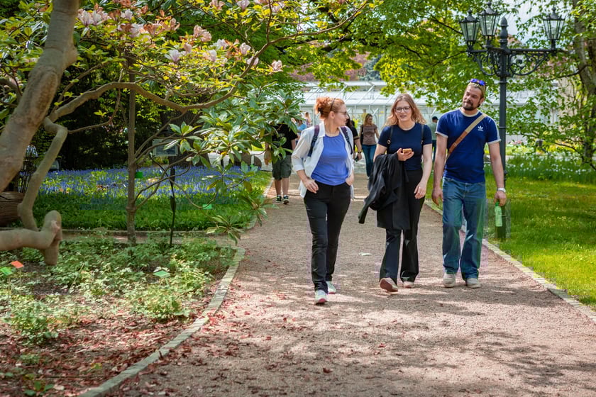 W Ogrodzie Botanicznym UWr 21 kwietnia 2025 roku