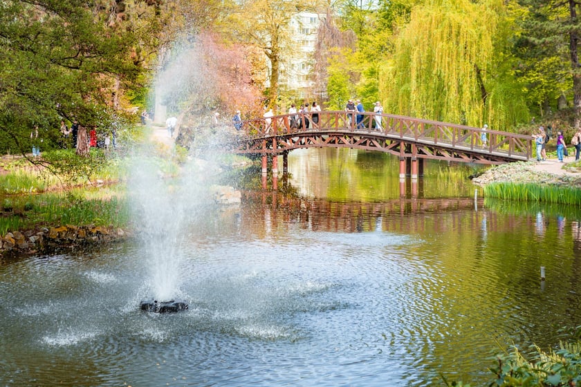 W Ogrodzie Botanicznym UWr 21 kwietnia 2025 roku