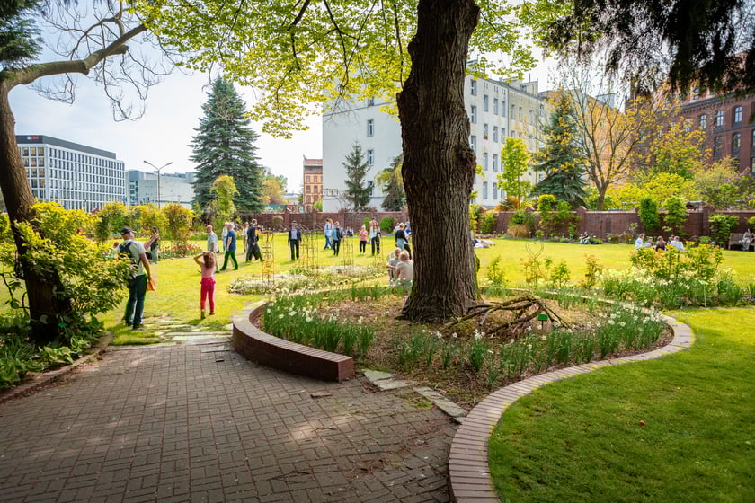 W Ogrodzie Botanicznym UWr 21 kwietnia 2025 roku