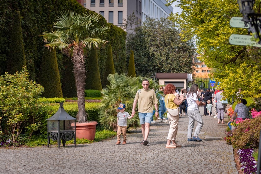 W Ogrodzie Botanicznym UWr 21 kwietnia 2025 roku
