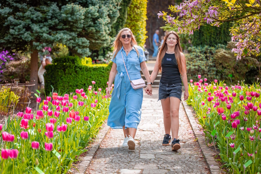 W Ogrodzie Botanicznym UWr 21 kwietnia 2025 roku