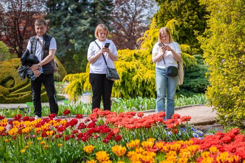 W Ogrodzie Botanicznym UWr 21 kwietnia 2025 roku