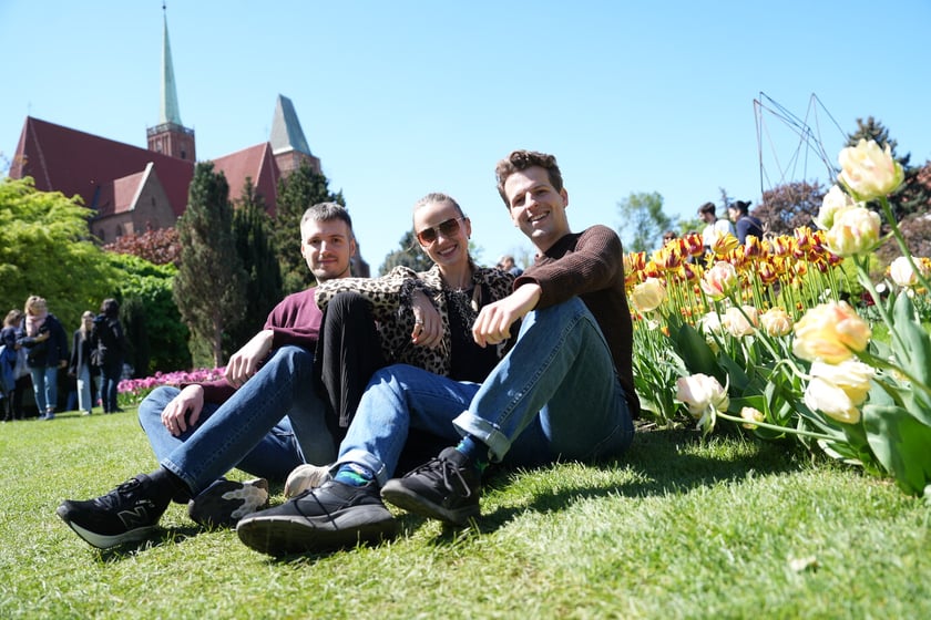 Festiwal tulipanów w Ogrodzie Botanicznym - 26.04.2025