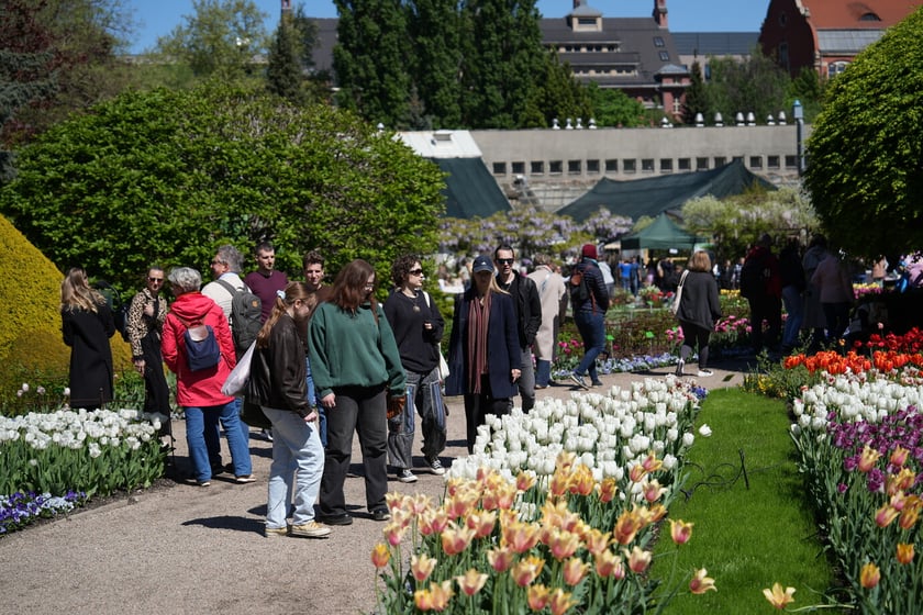 Festiwal tulipanów w Ogrodzie Botanicznym - 26.04.2025