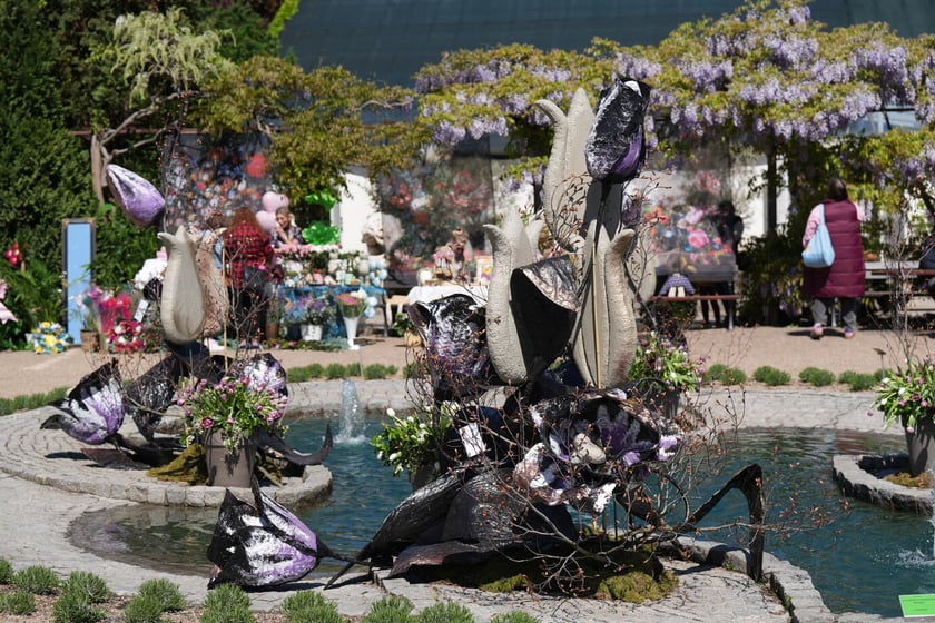 Festiwal tulipanów w Ogrodzie Botanicznym - 26.04.2025