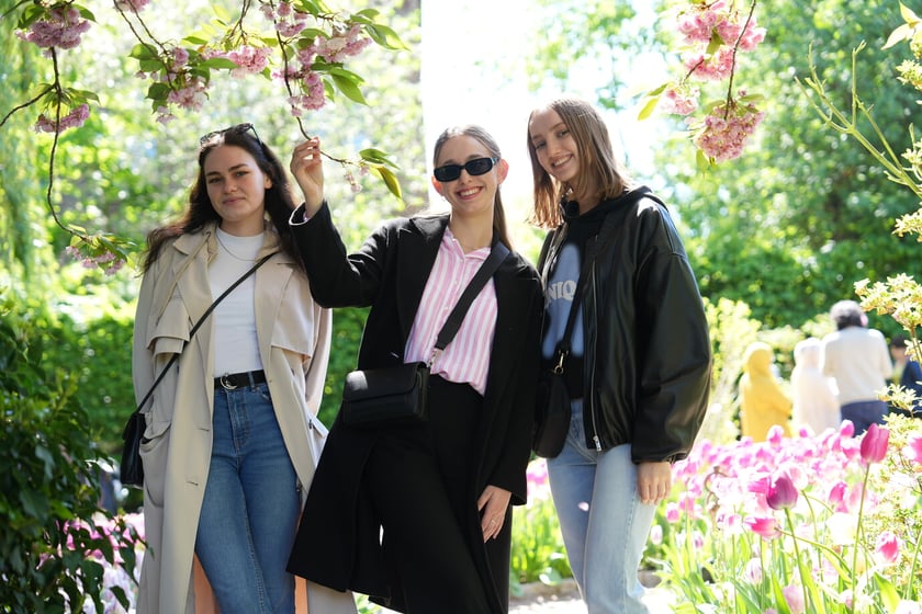 Festiwal tulipanów w Ogrodzie Botanicznym - 26.04.2025