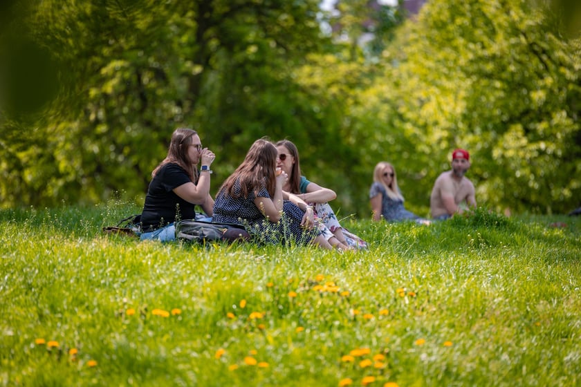 Wrocławianie spędzający majówkę w mieście - 2 maja 2025 r.