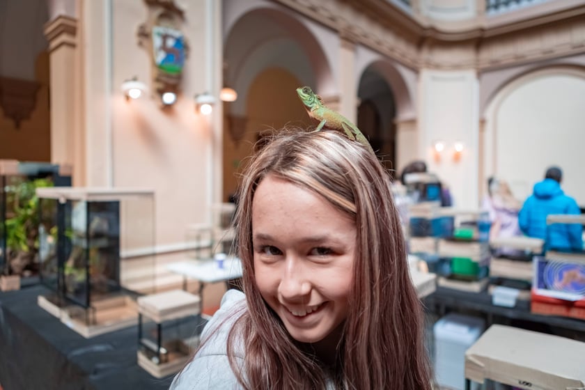 Targi Exoticarium w budynku NOT (4 maja 2025)
