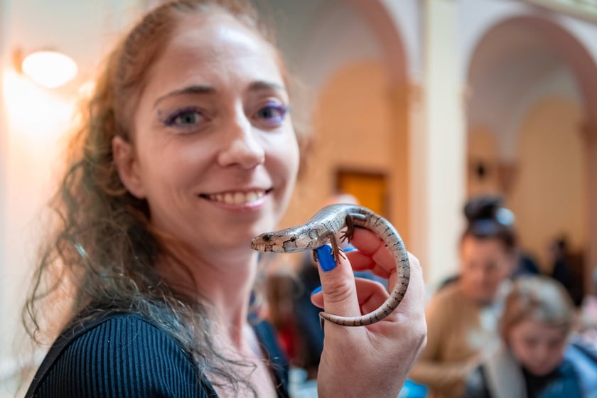 Targi Exoticarium w budynku NOT (4 maja 2025)