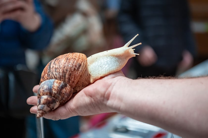 Targi Exoticarium w budynku NOT (4 maja 2025)