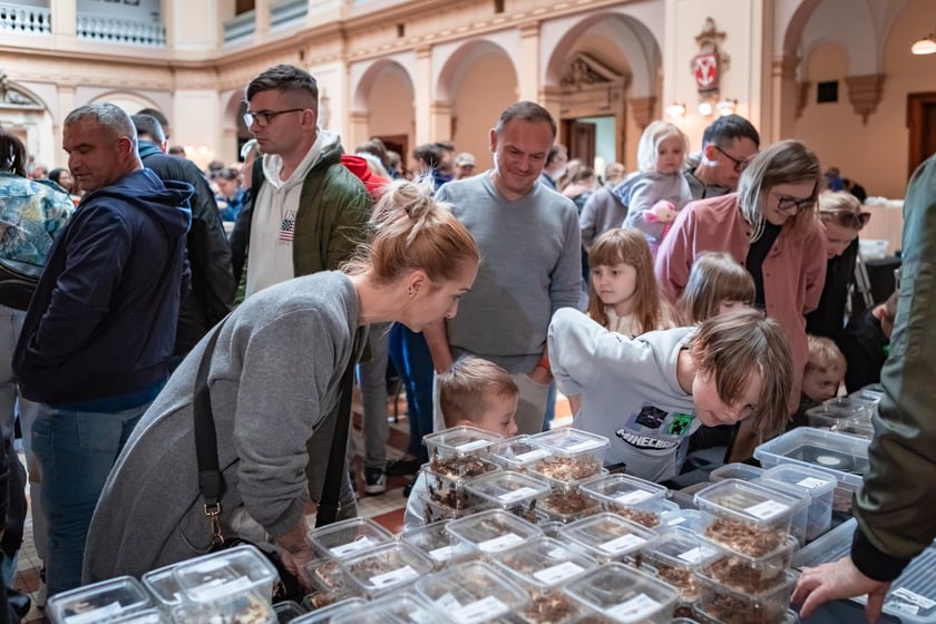 Targi Exoticarium w budynku NOT (4 maja 2025)