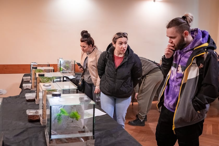 Targi Exoticarium w budynku NOT (4 maja 2025)