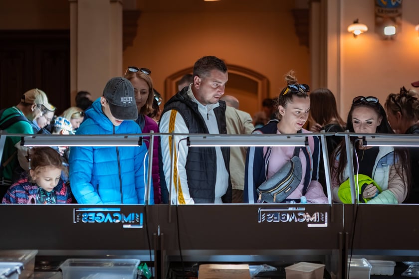 Targi Exoticarium w budynku NOT (4 maja 2025)
