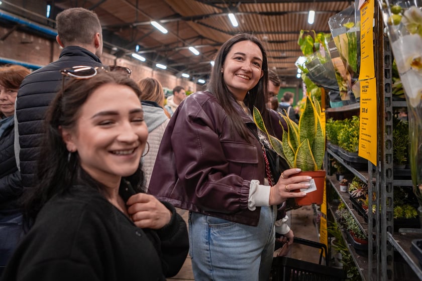 Festiwal Roślin w Czasoprzestrzeni we Wrocławiu