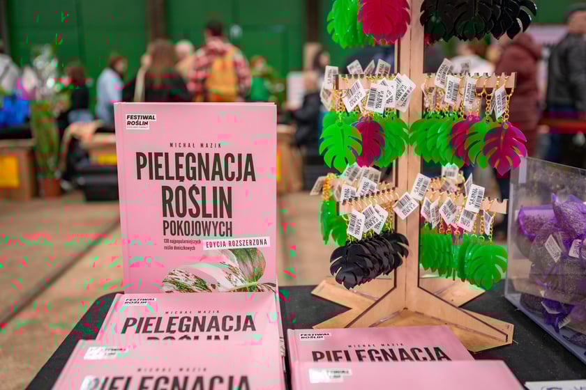 Festiwal Roślin w Czasoprzestrzeni we Wrocławiu