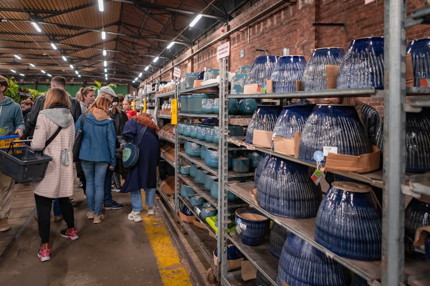 Festiwal Roślin w Czasoprzestrzeni we Wrocławiu