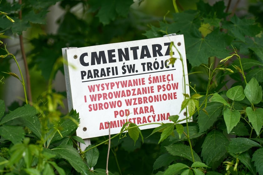 Prace archeologiczne specjalistów z Pracowni POMOST na cmenatrzu na Krzykach