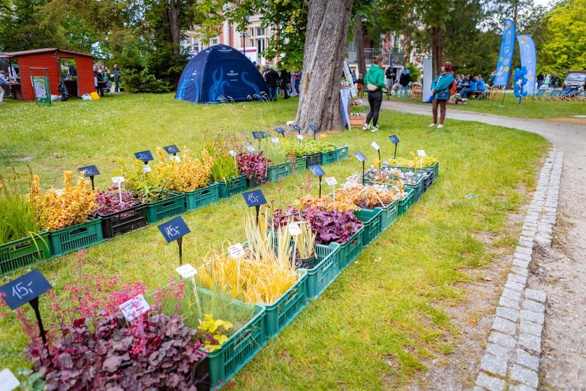 Dni Przyrodników – Jarmark Pawłowicki, 24 maja 2025 r.