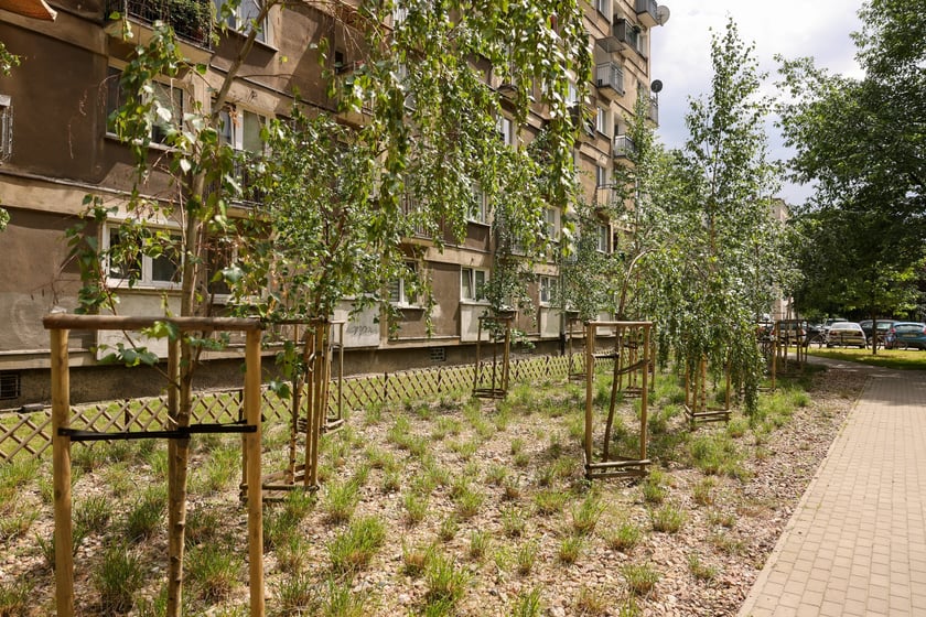 Festyn "Dbam to mam" na wrocławskim Szczepinie