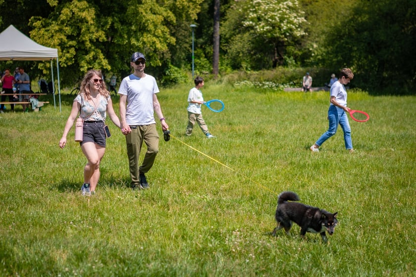 Piknik z okazji Dnia Rodzicielstwa Zastępczego, który odbył się w sobotę 31 maja w parku Grabiszyńskim we Wrocławiu