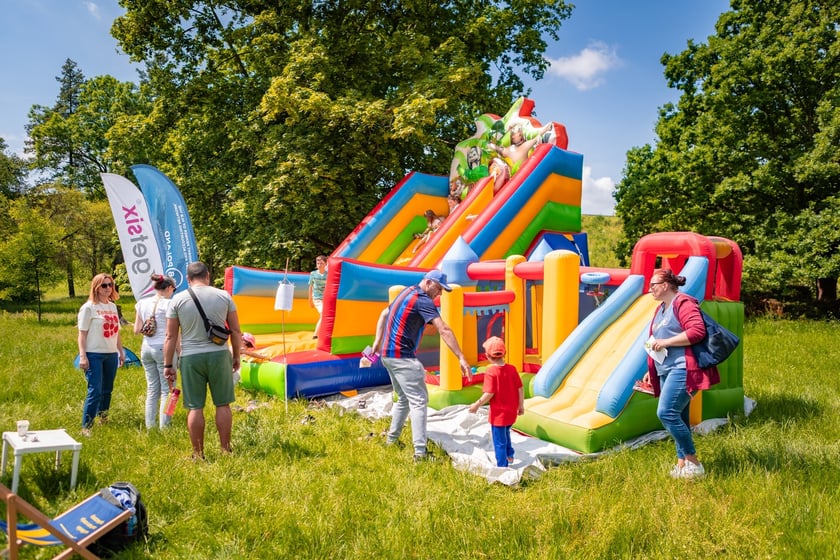 Piknik z okazji Dnia Rodzicielstwa Zastępczego, który odbył się w sobotę 31 maja w parku Grabiszyńskim we Wrocławiu