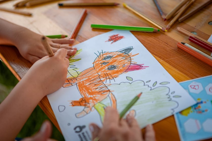 Piknik z okazji Dnia Rodzicielstwa Zastępczego, który odbył się w sobotę 31 maja w parku Grabiszyńskim we Wrocławiu