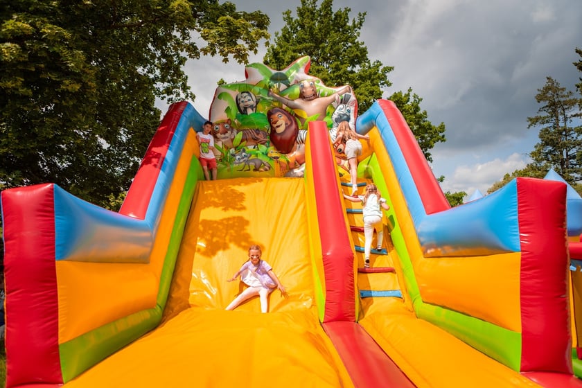 Piknik z okazji Dnia Rodzicielstwa Zastępczego, który odbył się w sobotę 31 maja w parku Grabiszyńskim we Wrocławiu