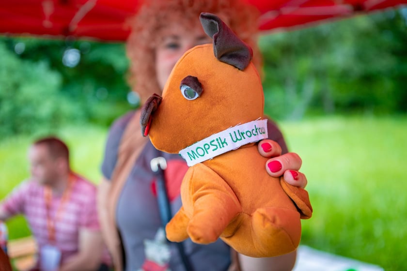 Piknik z okazji Dnia Rodzicielstwa Zastępczego, który odbył się w sobotę 31 maja w parku Grabiszyńskim we Wrocławiu