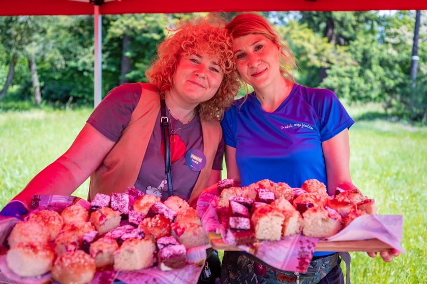 Piknik z okazji Dnia Rodzicielstwa Zastępczego, który odbył się w sobotę 31 maja w parku Grabiszyńskim we Wrocławiu