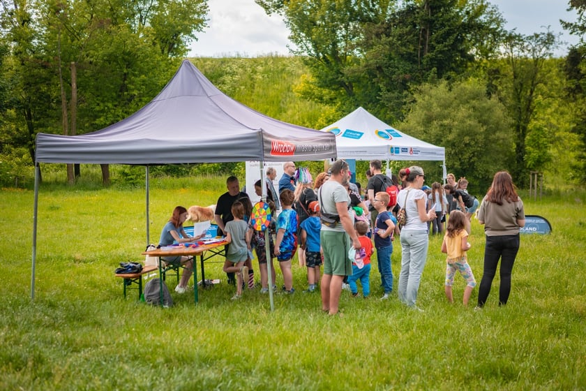 Piknik z okazji Dnia Rodzicielstwa Zastępczego, który odbył się w sobotę 31 maja w parku Grabiszyńskim we Wrocławiu