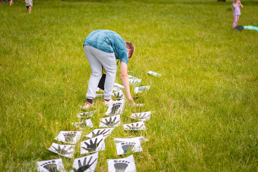 Piknik z okazji Dnia Rodzicielstwa Zastępczego, który odbył się w sobotę 31 maja w parku Grabiszyńskim we Wrocławiu