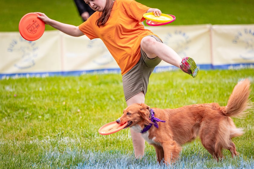 Mistrzostwa Polski Dogfrisbee 2025 - latające psy w parku Południowym
