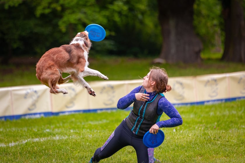 Mistrzostwa Polski Dogfrisbee 2025 - latające psy w parku Południowym