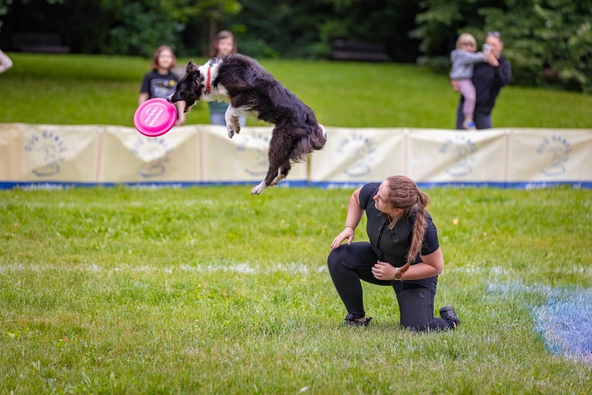Mistrzostwa Polski Dogfrisbee 2025 - latające psy w parku Południowym