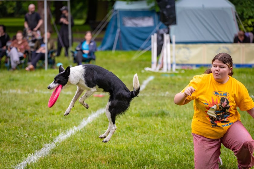 Mistrzostwa Polski Dogfrisbee 2025 - latające psy w parku Południowym