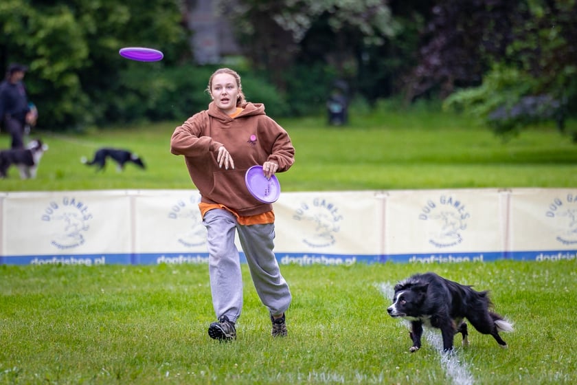Mistrzostwa Polski Dogfrisbee 2025 - latające psy w parku Południowym
