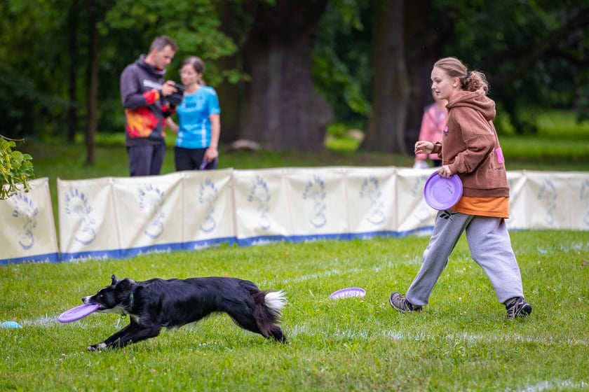 Mistrzostwa Polski Dogfrisbee 2025 - latające psy w parku Południowym