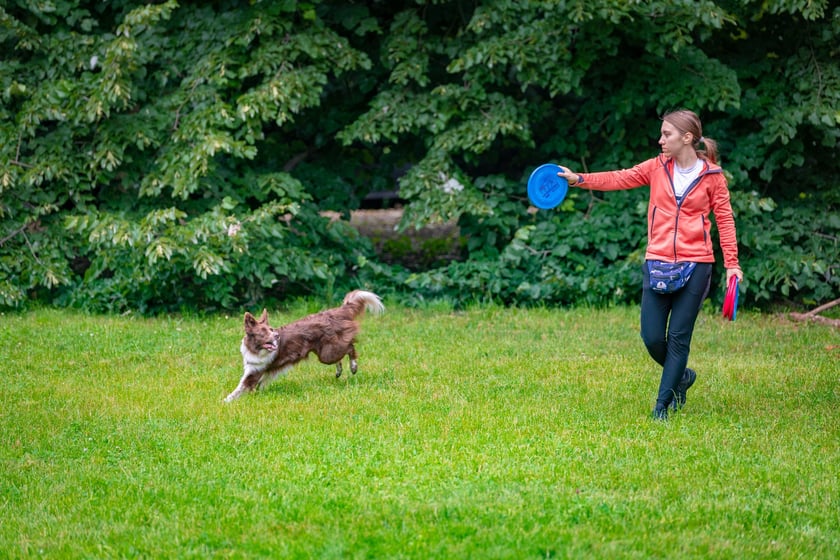 Mistrzostwa Polski Dogfrisbee 2025 - latające psy w parku Południowym