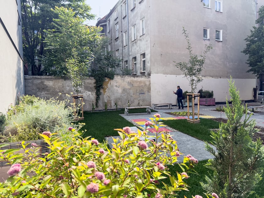 Przybyło tu zieleni - od drzew, przez krzewy po pnącza i trawę