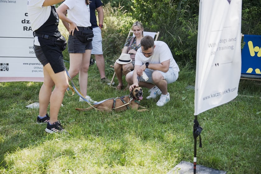 Wielki Piknik Charytatywny Grupy Ratuj w parku Grabiszyńskim