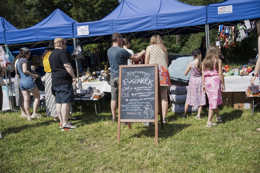 Wielki Piknik Charytatywny Grupy Ratuj w parku Grabiszyńskim