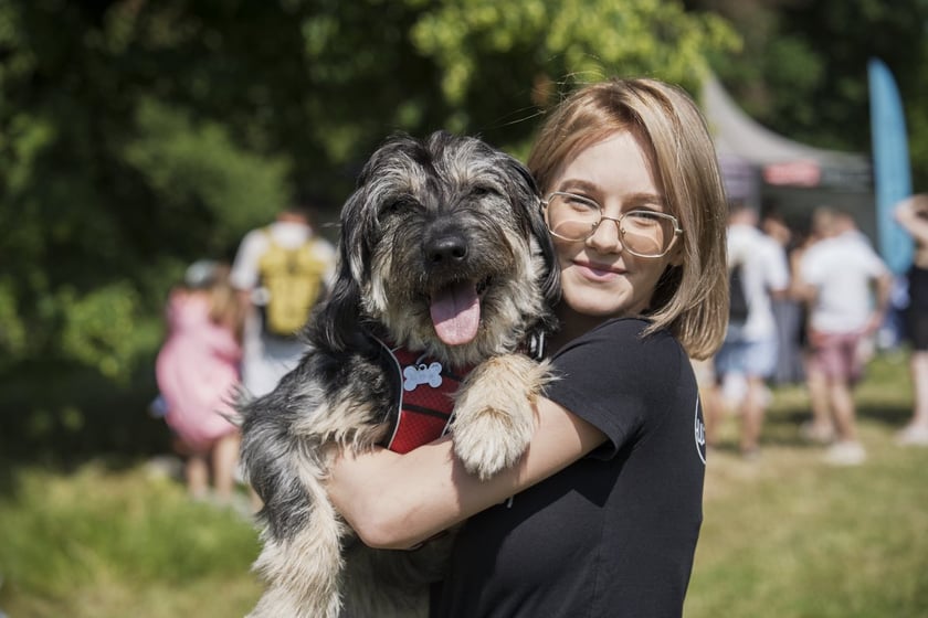 Wielki Piknik Charytatywny Grupy Ratuj w parku Grabiszyńskim