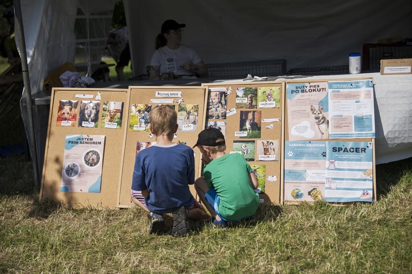 Wielki Piknik Charytatywny Grupy Ratuj w parku Grabiszyńskim