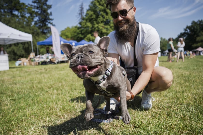 Wielki Piknik Charytatywny Grupy Ratuj w parku Grabiszyńskim