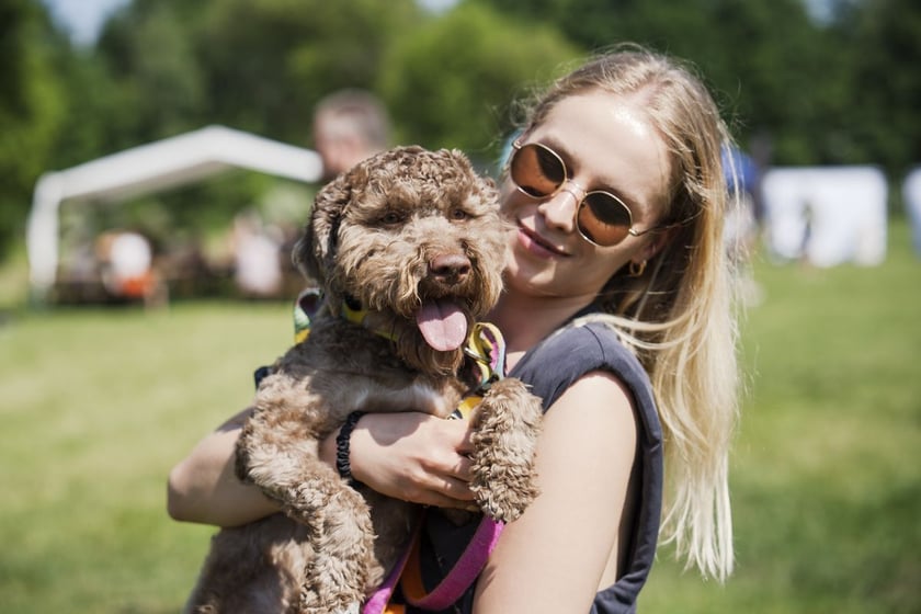 Wielki Piknik Charytatywny Grupy Ratuj w parku Grabiszyńskim